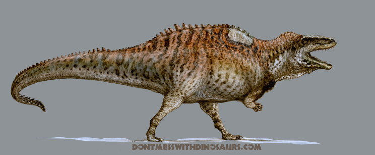 AcrocanthosaurusProfileColored