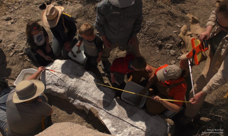 Brachiosaurus-Family Digging and Measuring