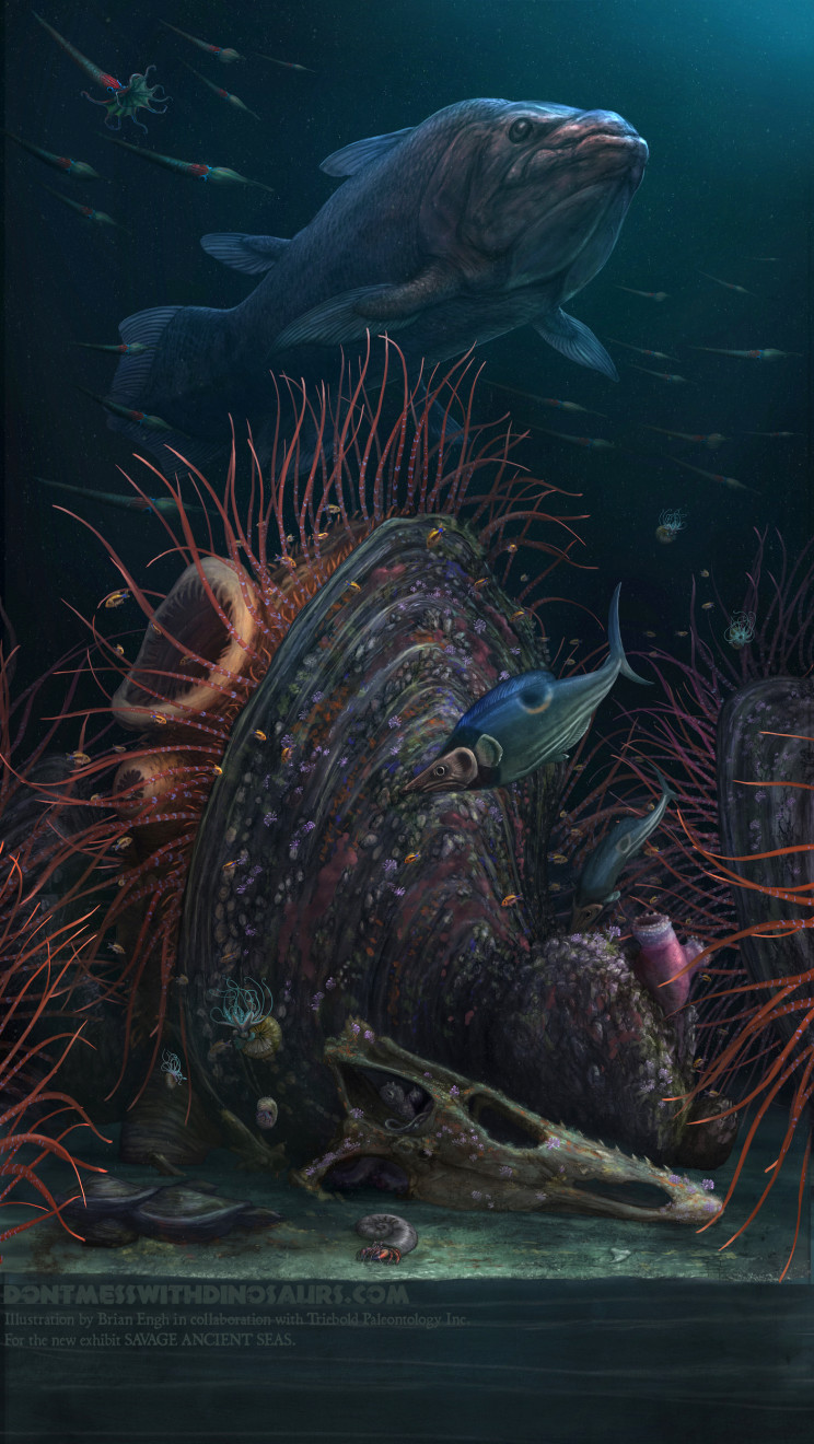 The Inoceramid Reef