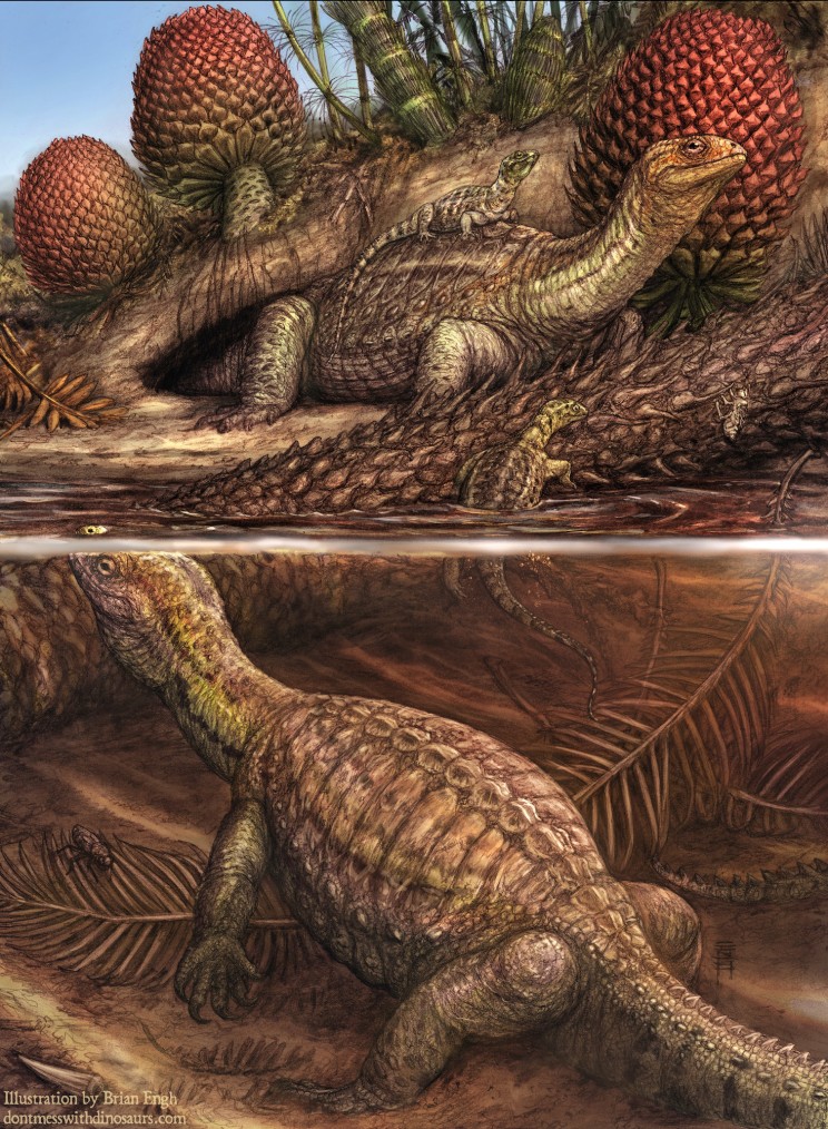 Pappochelys in Triassic Germany by Brian Engh