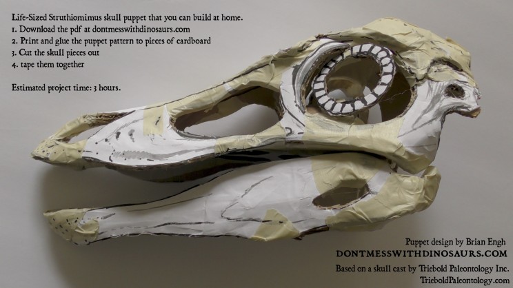 Struthiomimus Skull Puppet Lateral