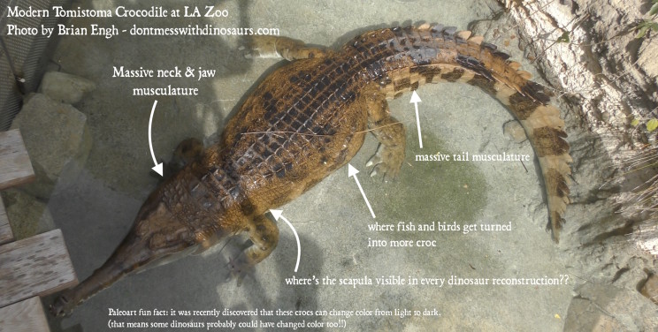Tomistoma Thiccness