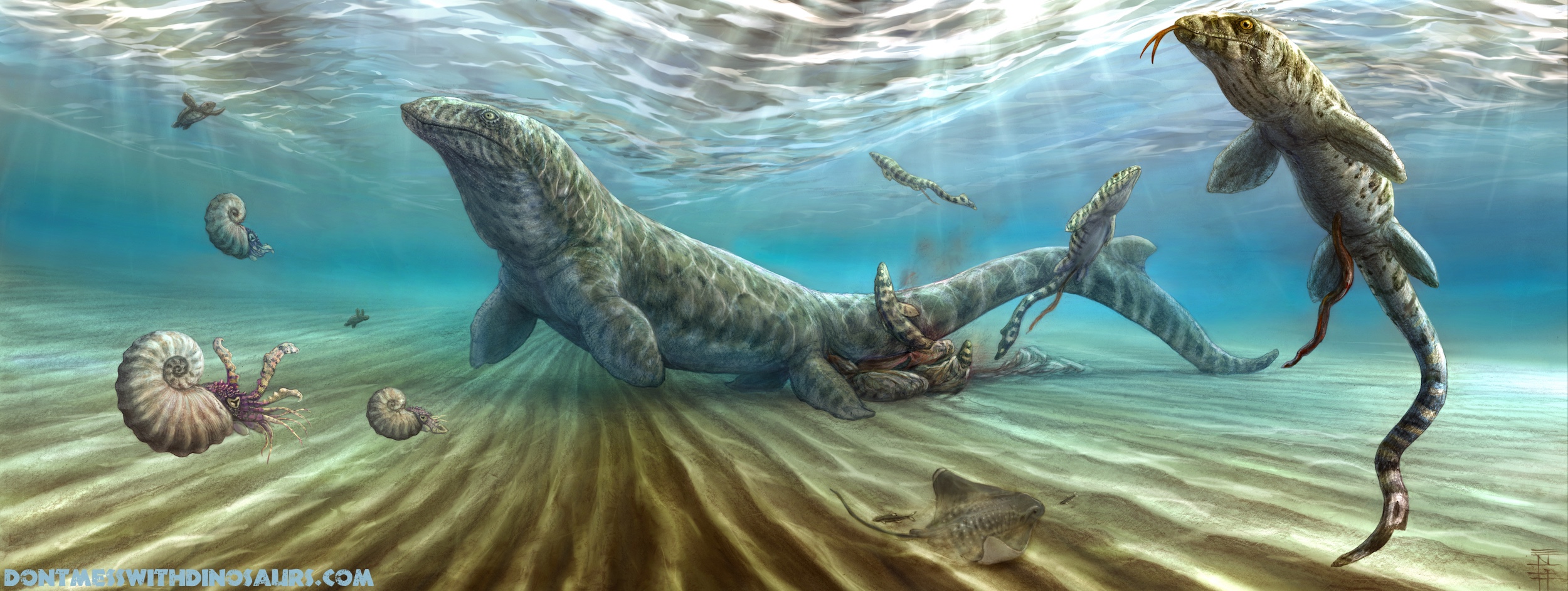 Dontmesswithdinosaurs Com Reconstructing Mosasaurs For